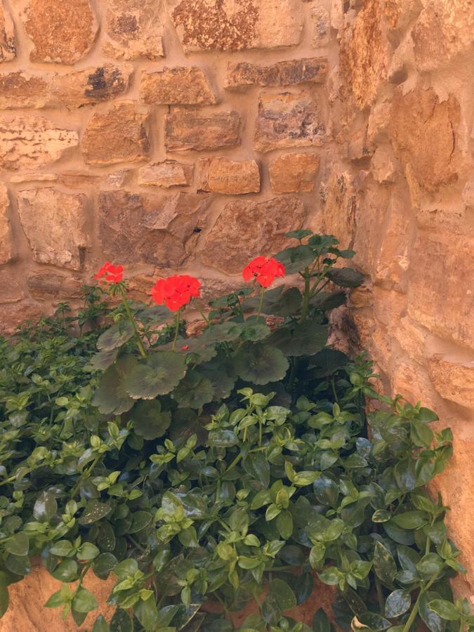 Wadi Dana Lodge - نزل وادي ضانا Esterno foto